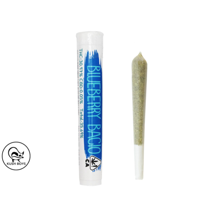 Blueberry Bacio (h) Pre-roll 1.5G