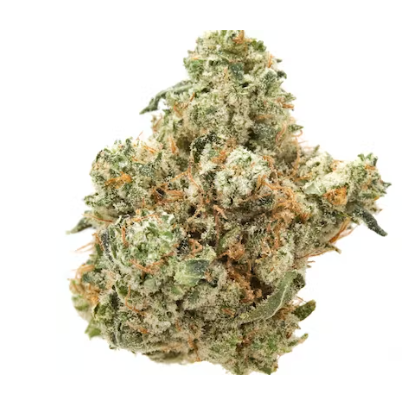 Lavender Goo (i) 3.5G
