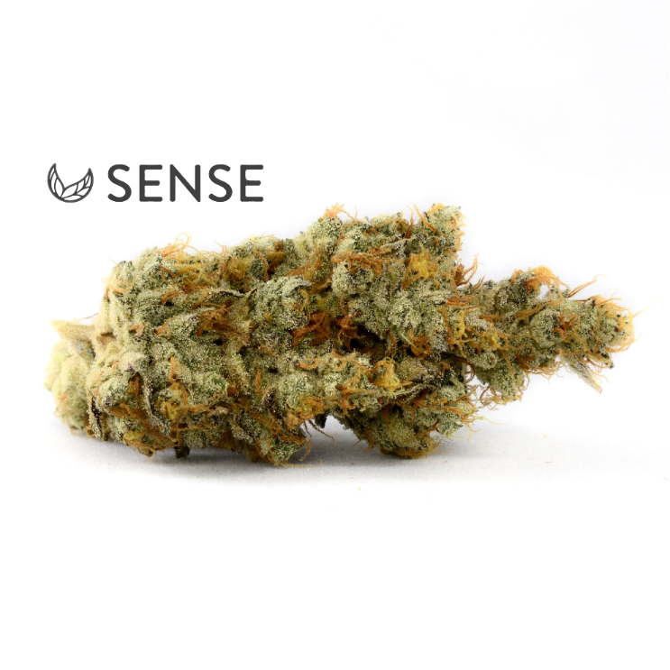 Gmo (i) 3.5G