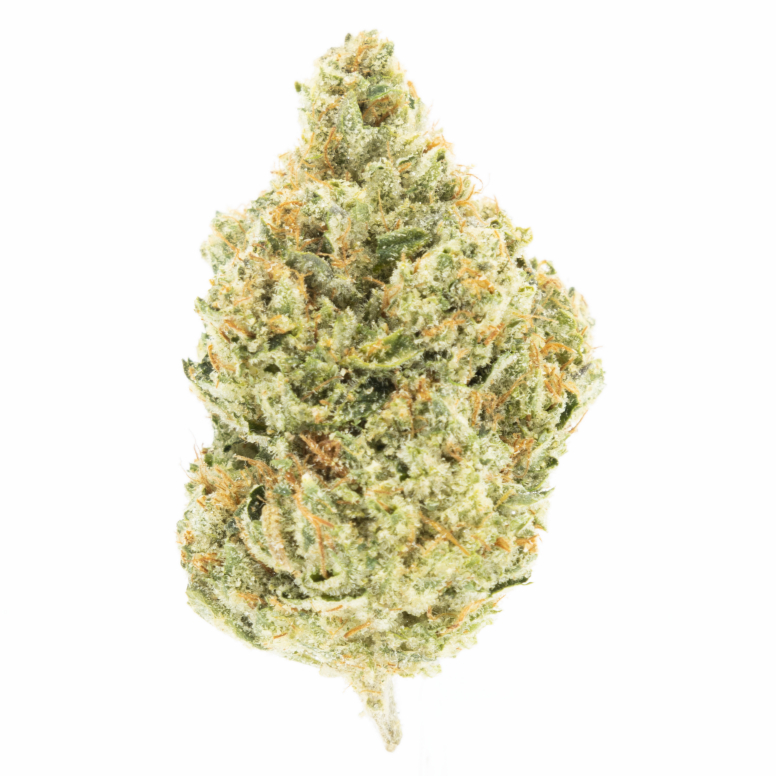 Headband (s) 3.5G